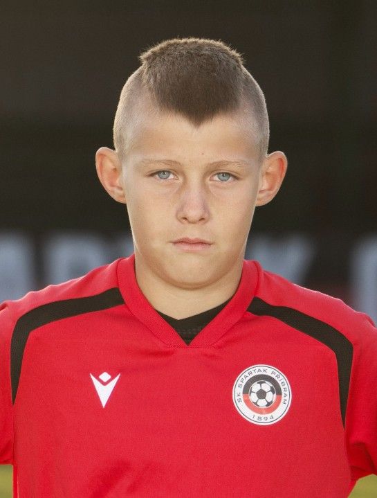Vladimír Pešata